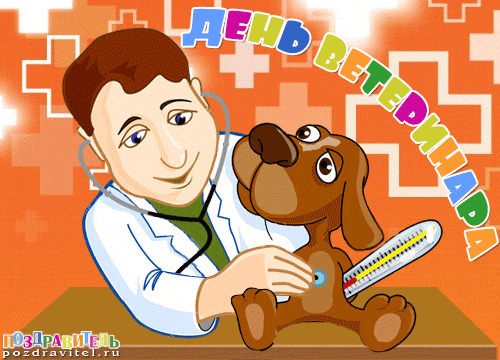 Поздравления С Днем Рождения Ветеринару Мужчине